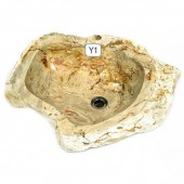 Waschbecken aus fossilem versteinerten Holz Baumquerschnitt � 50 cm natur (16) Y1