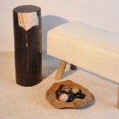 Stamm / Hocker aus fossilem Holz - schwarz