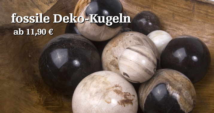 Fossile Kugeln aus versteinertem Holz in drei verschieden Gr&ouml;&szlig;en.  Die 4 cm, 6 cm und 7 cm gro&szlig;en Kugeln sind in ihrer Farbgebung von elfenbein, bis schwarz, teils getigert erh&auml;ltlich. 
