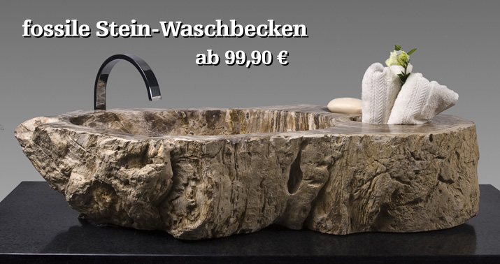 Fossile Waschbecken aus versteinertem Holz aus einem Baumstamm geschlagen und innen poliert. Die Becken haben Ma&szlig;e von 50 cm bis 80 cm Breite und sind in nat&uuml;rlichen Braunt&ouml;nen erh&auml;ltlich. Passende Armatur und Siphon f&uuml;hren wir ebenfalls.