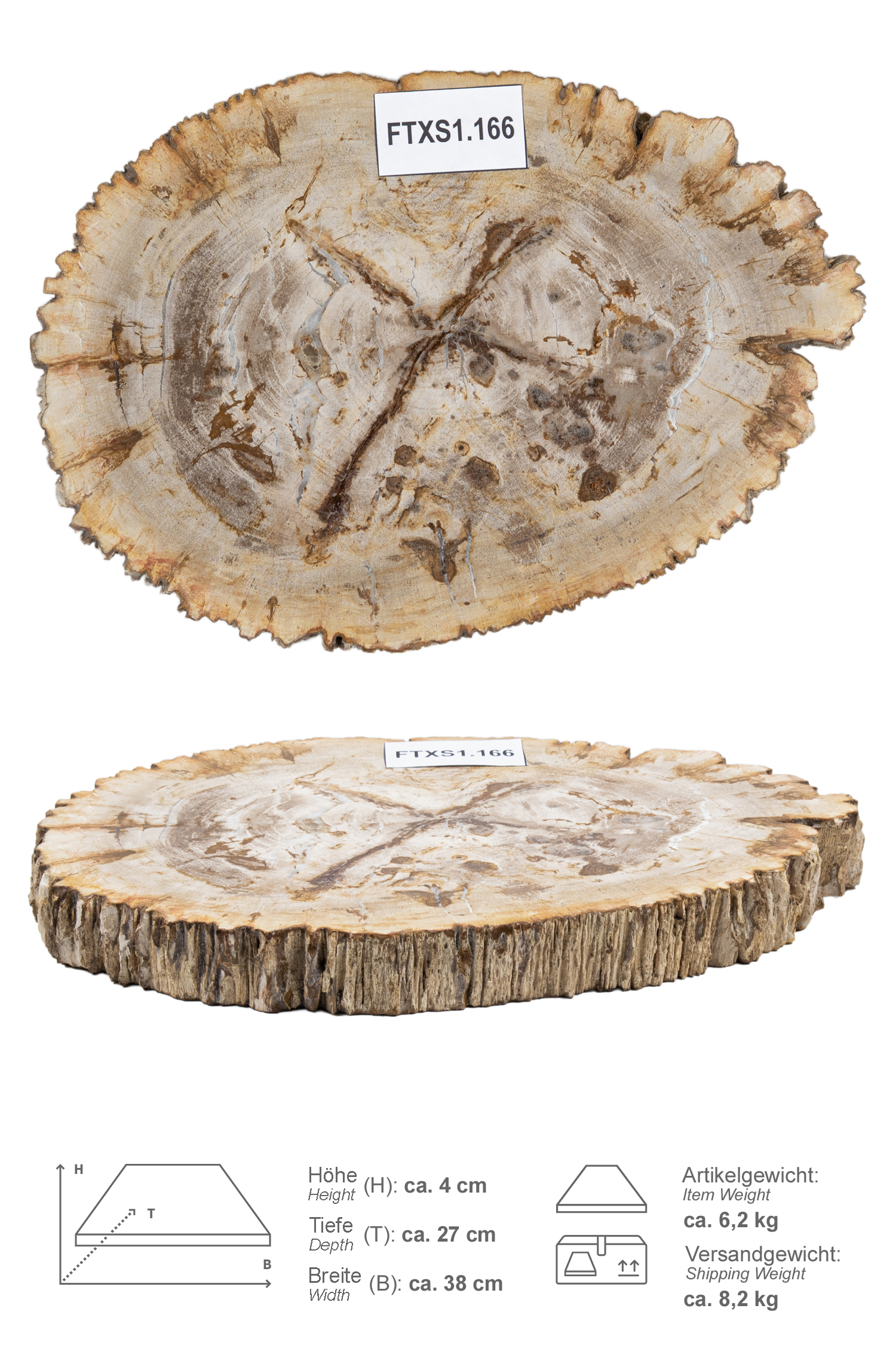 Tablett aus fossilem Holz ca. 27 cm
FTXS1.166