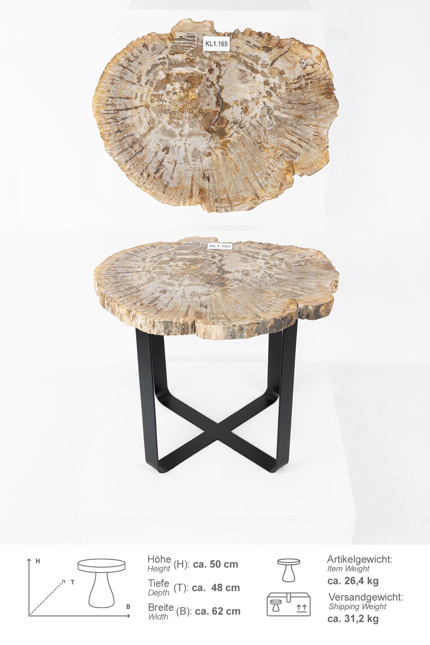 Fossiler Holz Beistelltisch mit Eisen-Untergestell Ø 60 cm Größe L KL1.165